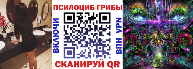 как найти закладки  Елизаветинская  Галлюциногенные грибы ЛСД 
