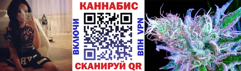 Бошки Шишки VHQ  Елизаветинская 